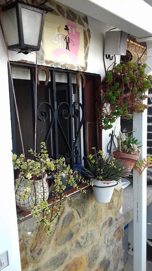 Apartamento Arbol De Vida - Cerca Estadio Cartuja Seville Apartment