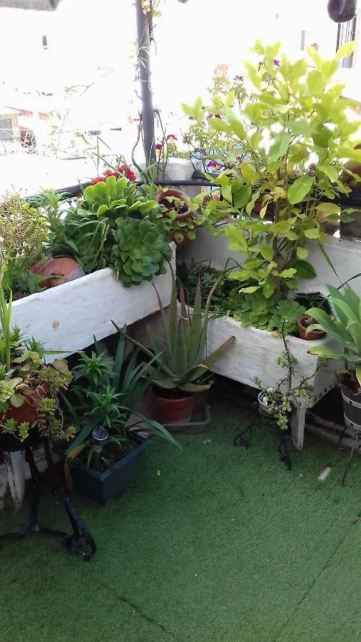 Apartamento Arbol De Vida - Cerca Estadio Cartuja Apartment Seville