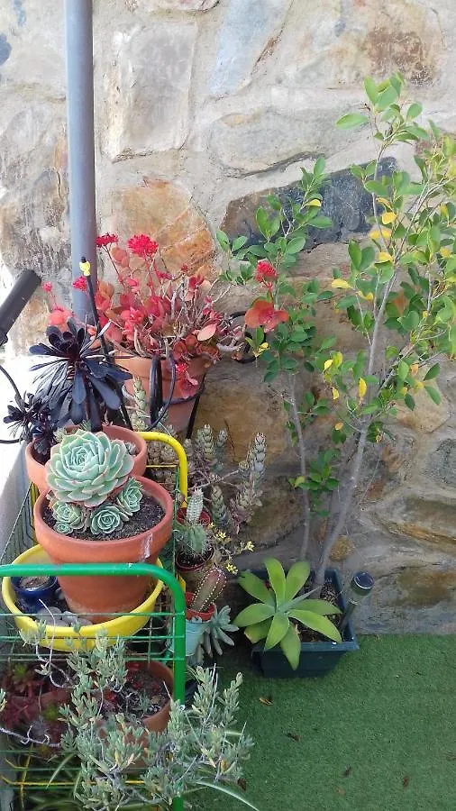 Apartamento Arbol De Vida - Cerca Estadio Cartuja Apartment Seville