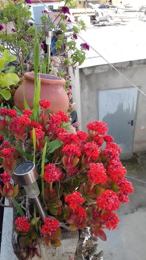 Lejlighed Apartamento Arbol De Vida - Cerca Estadio Cartuja Sevilla